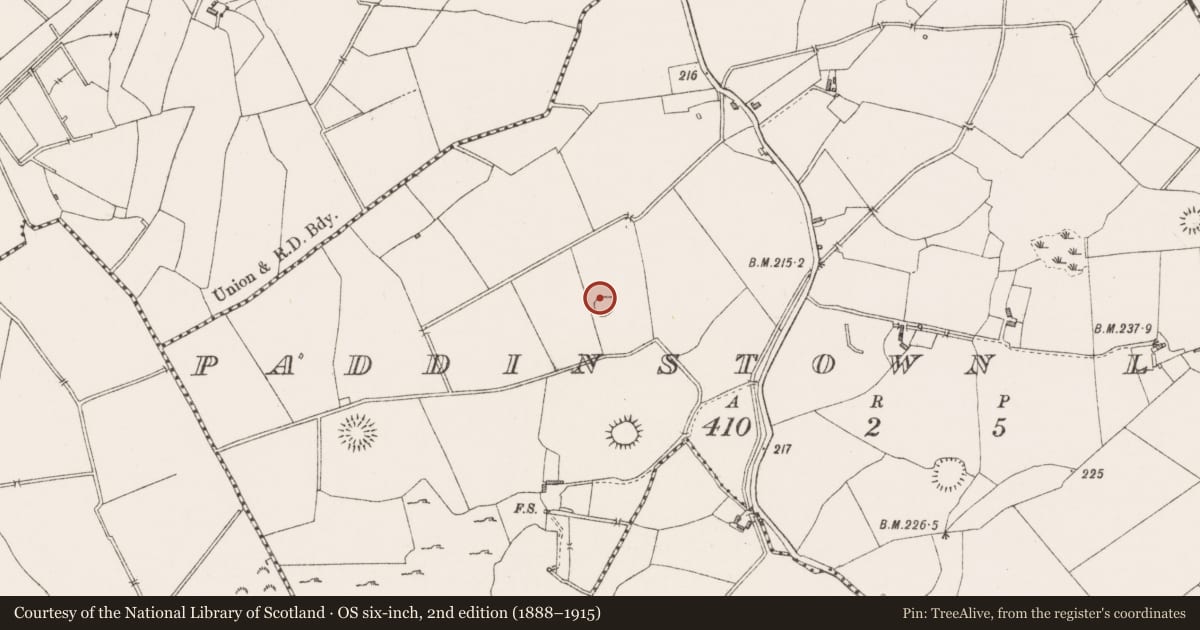 Ordnance Survey six-inch map, 2nd edition (1888–1915) covering the location of Hut site, Paddinstown Lower, County Westmeath, with a pin at the register's coordinates