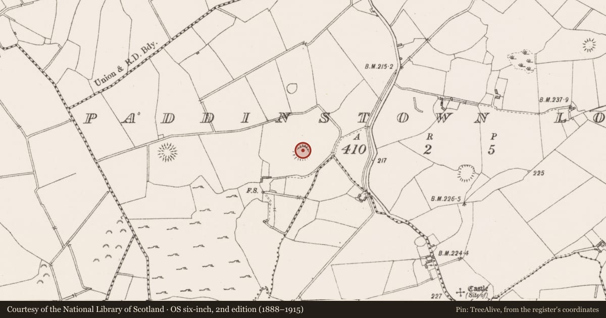 Ordnance Survey six-inch map, 2nd edition (1888–1915) covering the location of Ringfort - rath, Paddinstown Lower, County Westmeath, with a pin at the register's coordinates