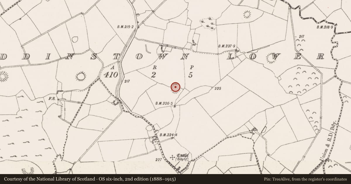 Ordnance Survey six-inch map, 2nd edition (1888–1915) covering the location of Ringfort - rath, Paddinstown Lower, County Westmeath, with a pin at the register's coordinates