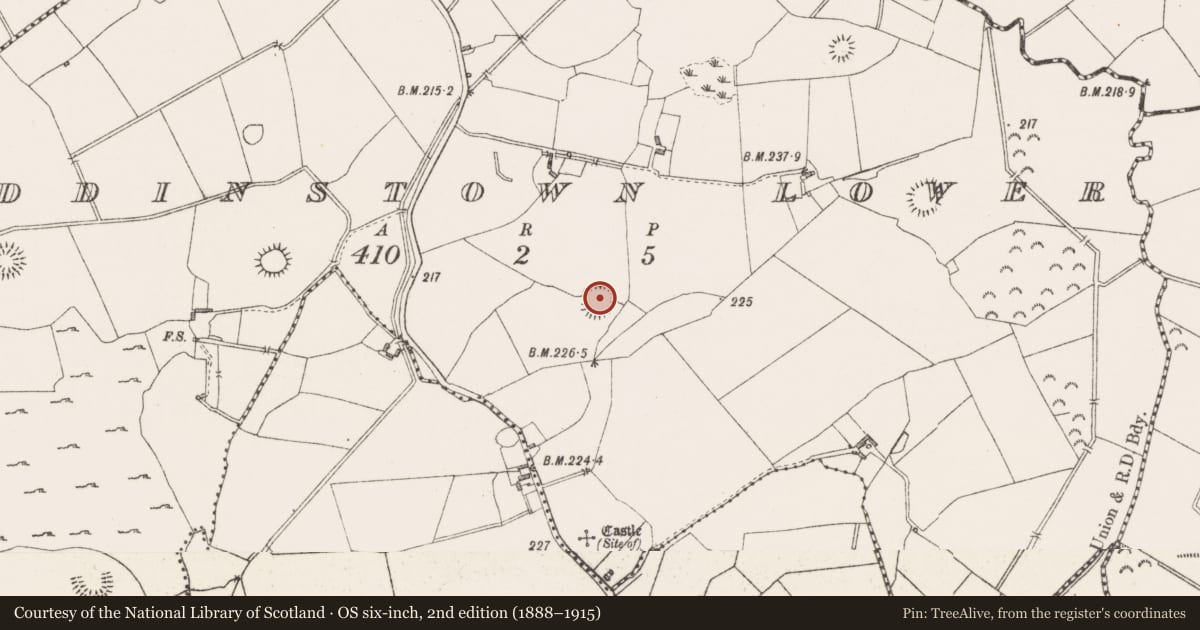 Ordnance Survey six-inch map, 2nd edition (1888–1915) covering the location of Souterrain, Paddinstown Lower, County Westmeath, with a pin at the register's coordinates