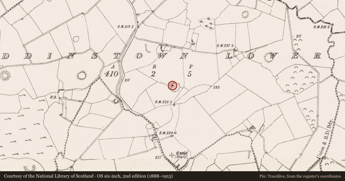 Ordnance Survey six-inch map, 2nd edition (1888–1915) covering the location of House - indeterminate date, Paddinstown Lower, County Westmeath, with a pin at the register's coordinates