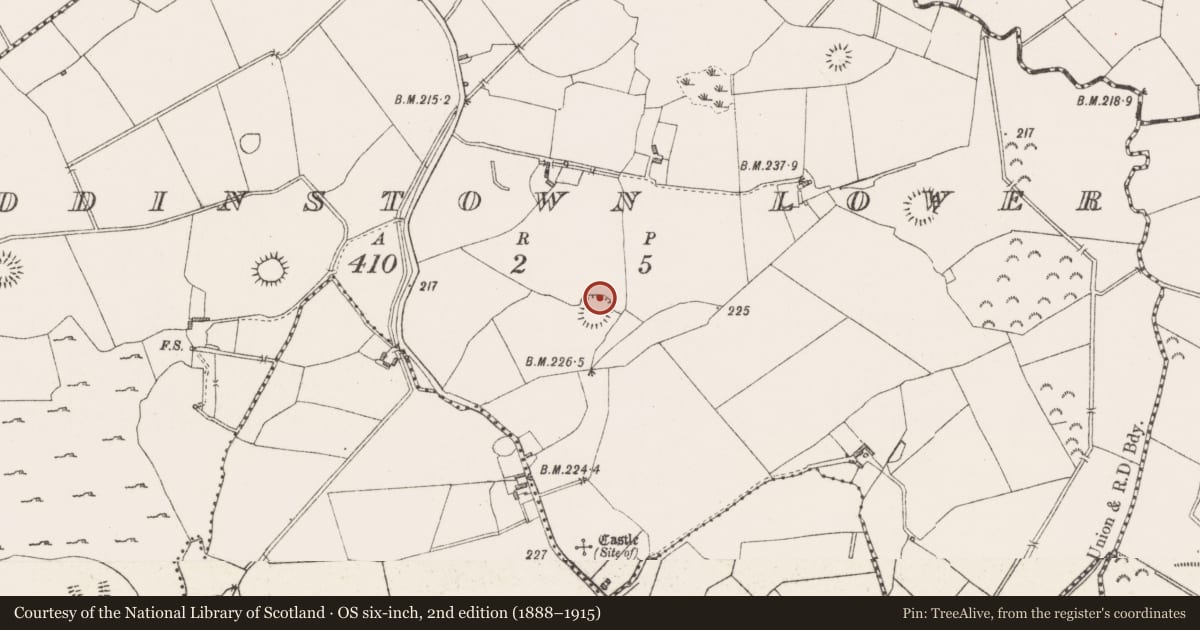 Ordnance Survey six-inch map, 2nd edition (1888–1915) covering the location of House - indeterminate date, Paddinstown Lower, County Westmeath, with a pin at the register's coordinates