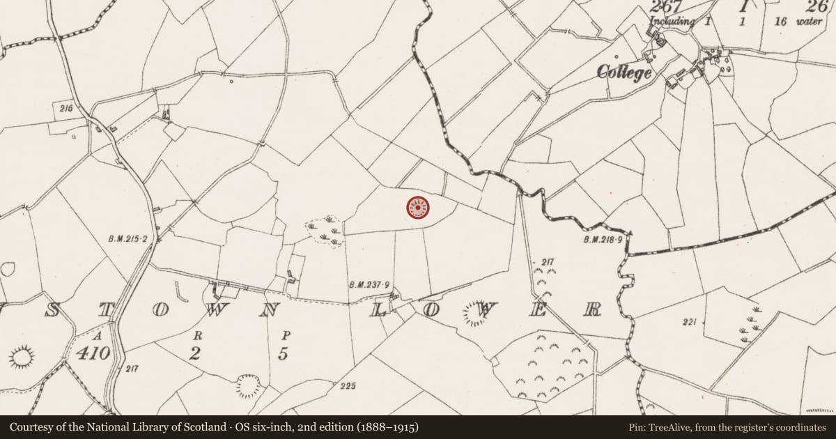 Ordnance Survey six-inch map, 2nd edition (1888–1915) covering the location of Ringfort - rath, Paddinstown Lower, County Westmeath, with a pin at the register's coordinates