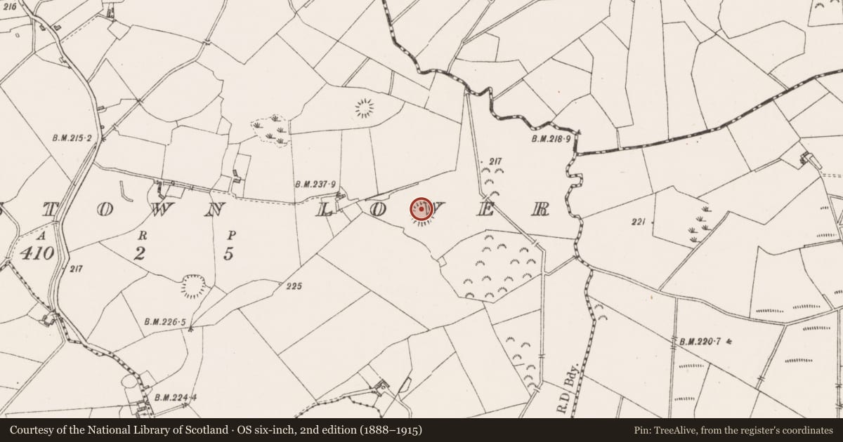 Ordnance Survey six-inch map, 2nd edition (1888–1915) covering the location of Ringfort - rath, Paddinstown Lower, County Westmeath, with a pin at the register's coordinates