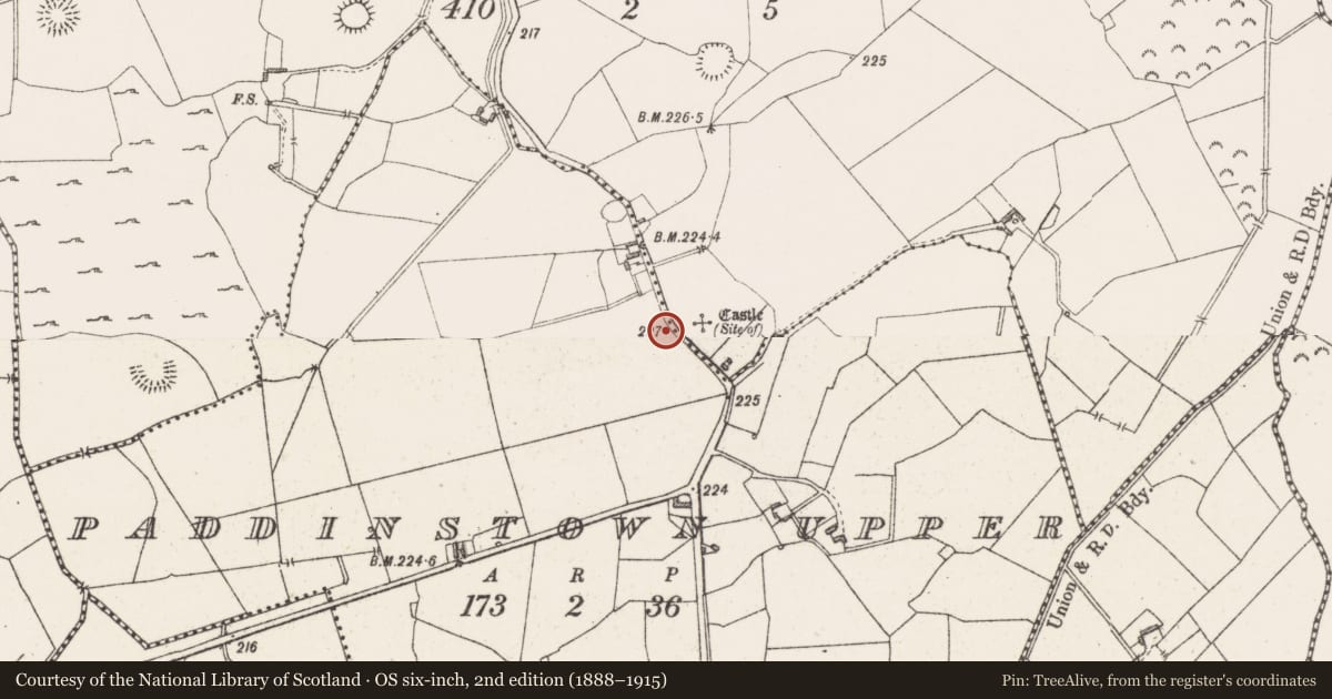 Ordnance Survey six-inch map, 2nd edition (1888–1915) covering the location of Castle - unclassified, Paddinstown Lower, Paddinstown Upper, County Westmeath, with a pin at the register's coordinates