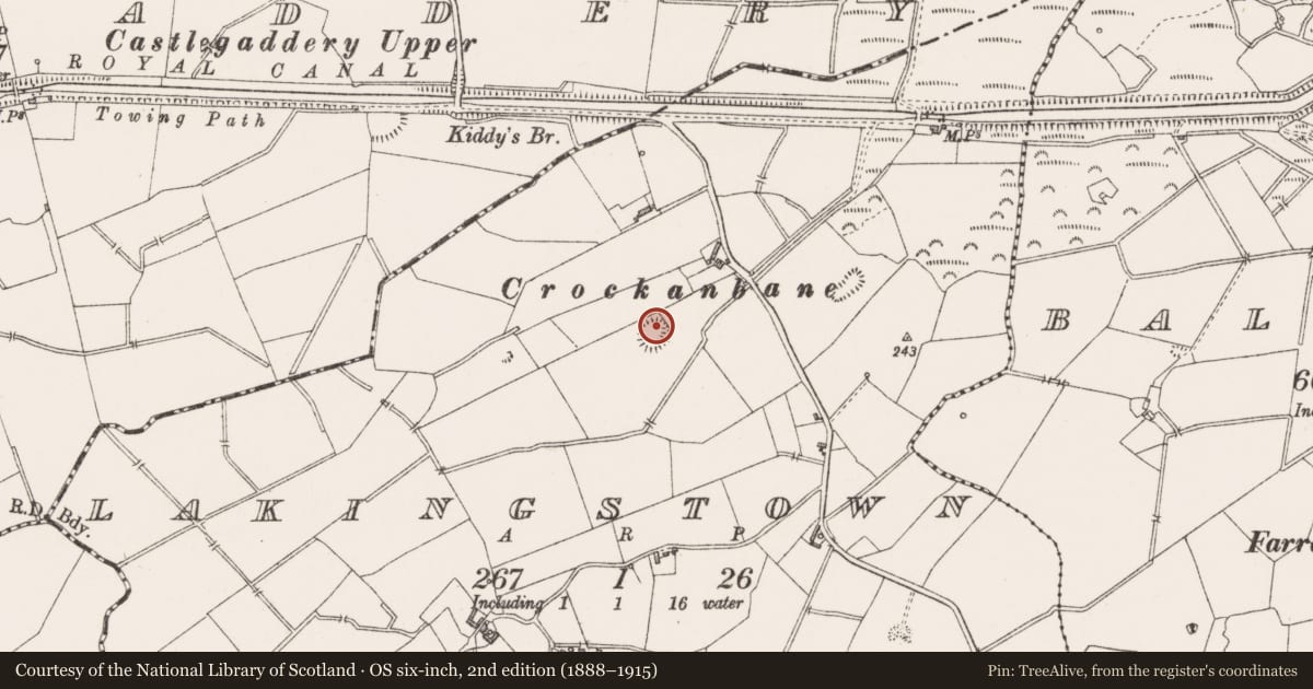 Ordnance Survey six-inch map, 2nd edition (1888–1915) covering the location of Hut site, Lakingstown, County Westmeath, with a pin at the register's coordinates