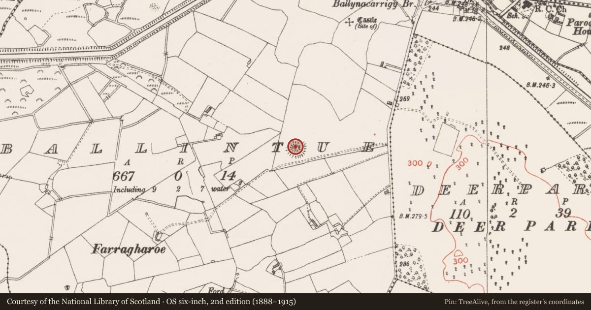 Ordnance Survey six-inch map, 2nd edition (1888–1915) covering the location of Ringfort - rath, Ballintue, County Westmeath, with a pin at the register's coordinates