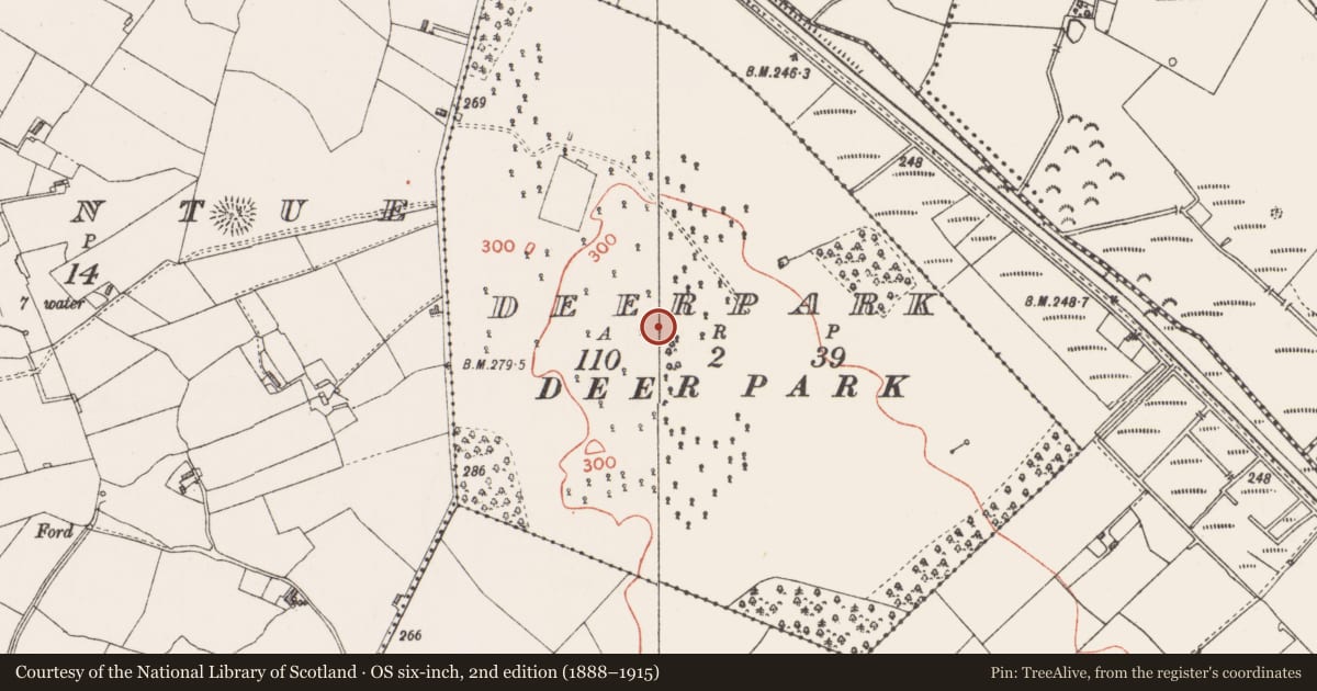 Ordnance Survey six-inch map, 2nd edition (1888–1915) covering the location of Deer park, Ballintue, Deerpark, County Westmeath, with a pin at the register's coordinates