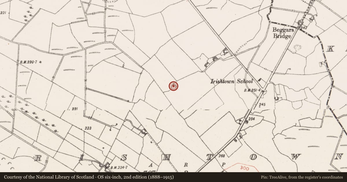 Ordnance Survey six-inch map, 2nd edition (1888–1915) covering the location of Ringfort - rath, Irishtown, County Westmeath, with a pin at the register's coordinates