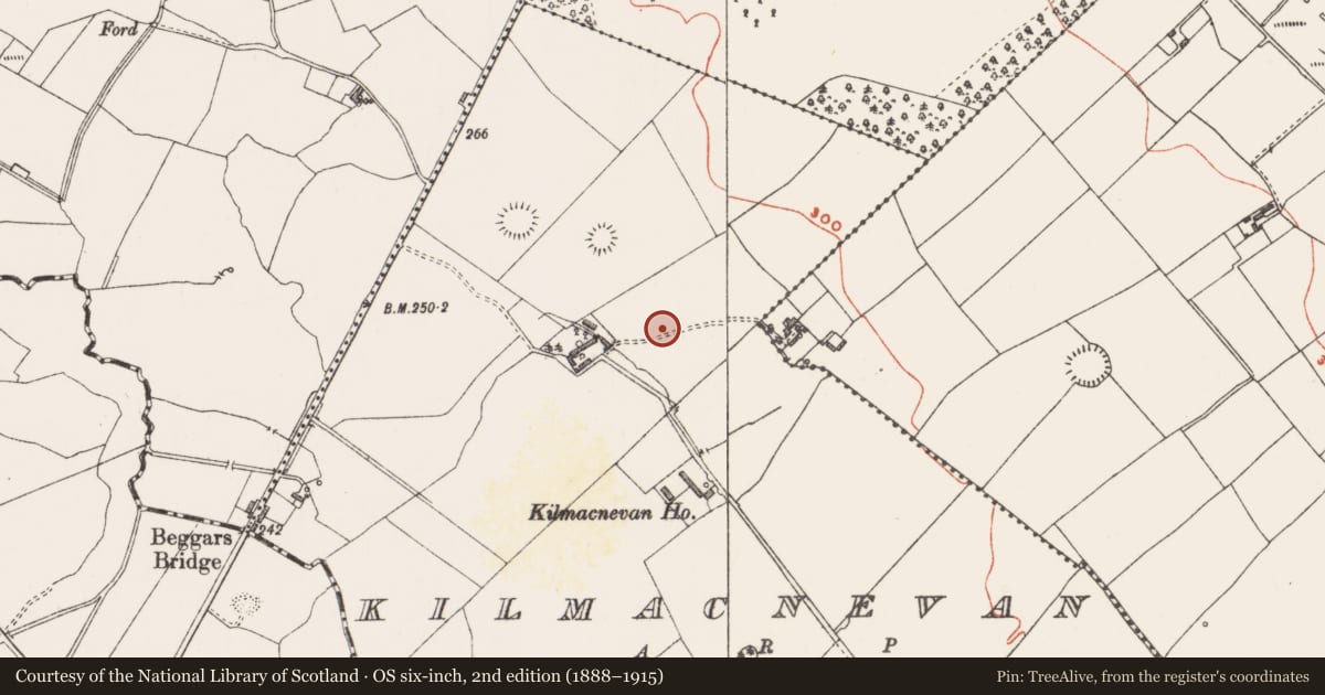 Ordnance Survey six-inch map, 2nd edition (1888–1915) covering the location of Settlement deserted - medieval, Kilmacnevan, County Westmeath, with a pin at the register's coordinates