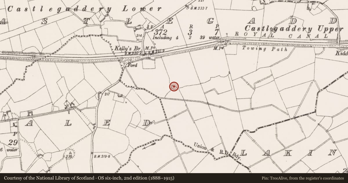 Ordnance Survey six-inch map, 2nd edition (1888–1915) covering the location of Ringfort - rath, Castlegaddery, County Westmeath, with a pin at the register's coordinates
