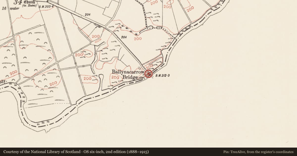 Ordnance Survey six-inch map, 2nd edition (1888–1915) covering the location of Bridge, Ballynacarrow, County Westmeath, with a pin at the register's coordinates