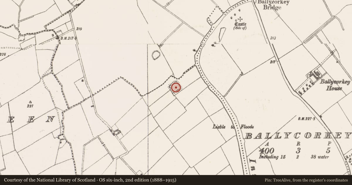 Ordnance Survey six-inch map, 2nd edition (1888–1915) covering the location of Moated site, Bardanstown, County Westmeath, with a pin at the register's coordinates