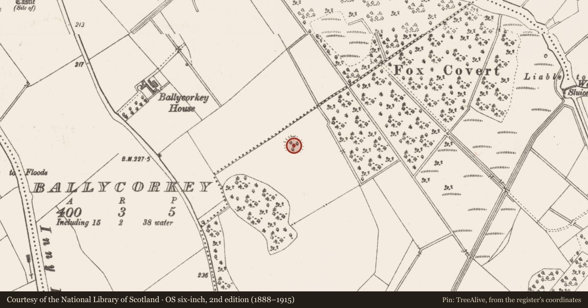 Ordnance Survey six-inch map, 2nd edition (1888–1915) covering the location of Ringfort - rath, Baronstown Demesne, County Westmeath, with a pin at the register's coordinates