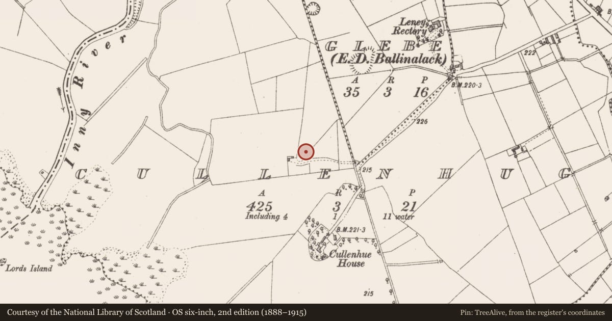 Ordnance Survey six-inch map, 2nd edition (1888–1915) covering the location of Ringfort - unclassified, Cullenhugh, County Westmeath, with a pin at the register's coordinates