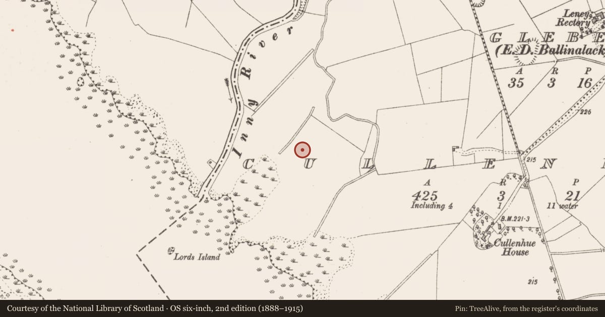 Ordnance Survey six-inch map, 2nd edition (1888–1915) covering the location of Castle - unclassified, Cullenhugh, County Westmeath, with a pin at the register's coordinates