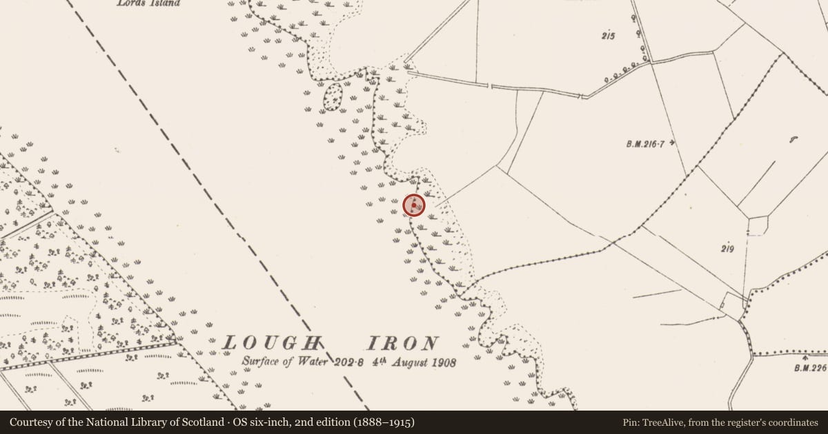 Ordnance Survey six-inch map, 2nd edition (1888–1915) covering the location of Crannog, Cullenhugh, Lough Iron, County Westmeath, with a pin at the register's coordinates