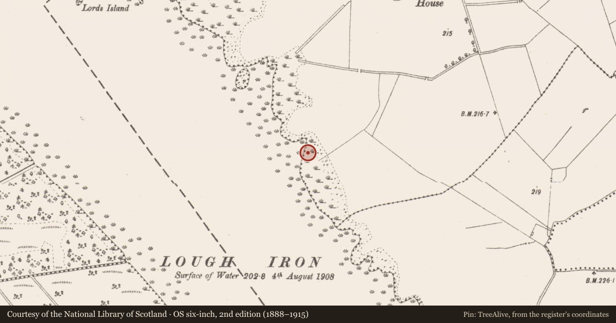 Ordnance Survey six-inch map, 2nd edition (1888–1915) covering the location of Crannog, Lough Iron, Cullenhugh, County Westmeath, with a pin at the register's coordinates