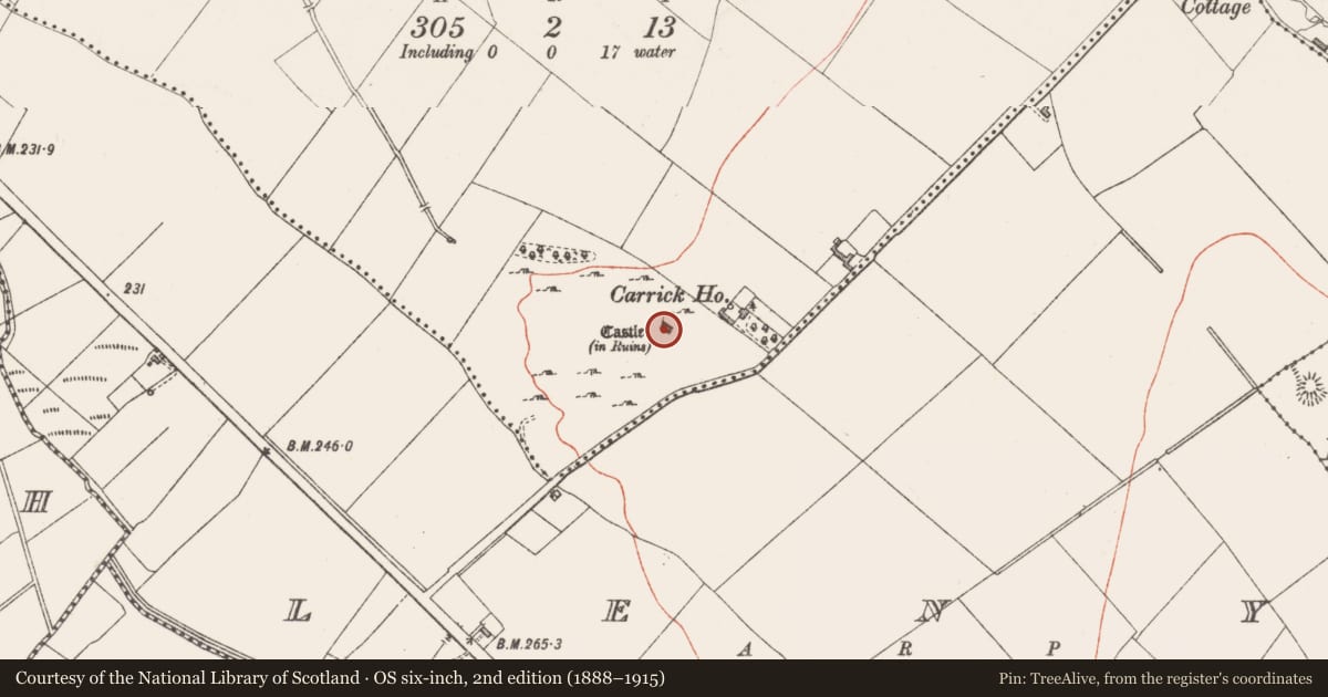 Ordnance Survey six-inch map, 2nd edition (1888–1915) covering the location of Castle - tower house, Carrick, County Westmeath, with a pin at the register's coordinates