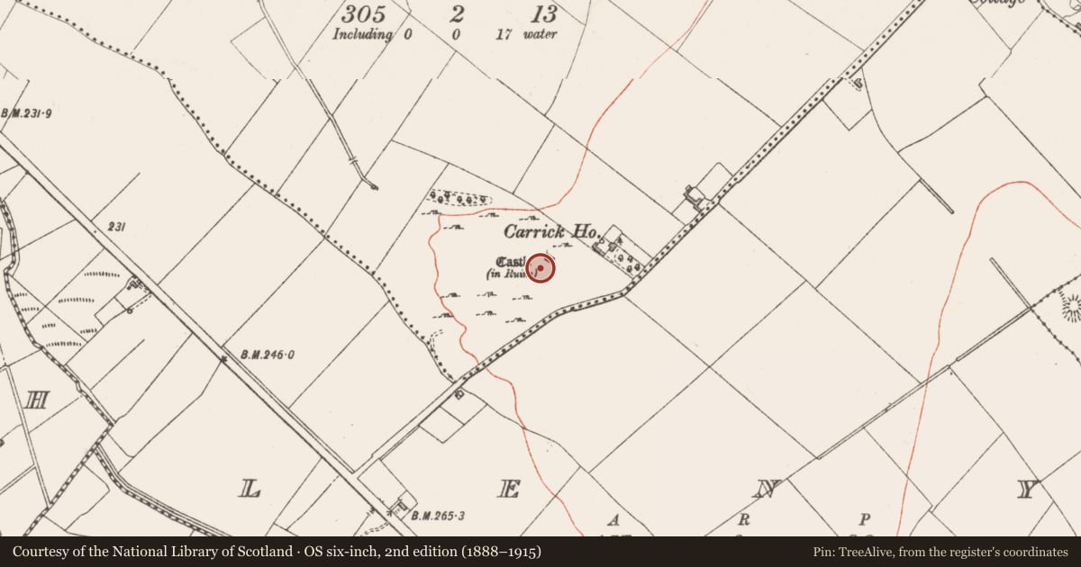 Ordnance Survey six-inch map, 2nd edition (1888–1915) covering the location of Bawn, Carrick, County Westmeath, with a pin at the register's coordinates