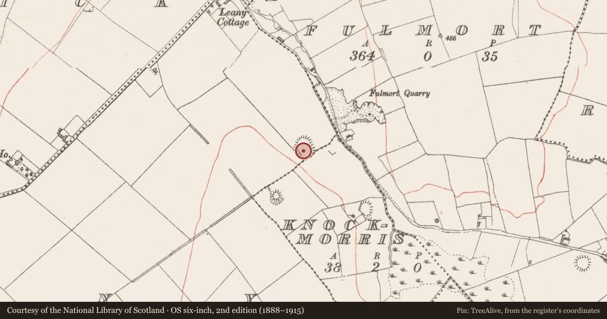 Ordnance Survey six-inch map, 2nd edition (1888–1915) covering the location of Ringfort - rath, Leny, County Westmeath, with a pin at the register's coordinates
