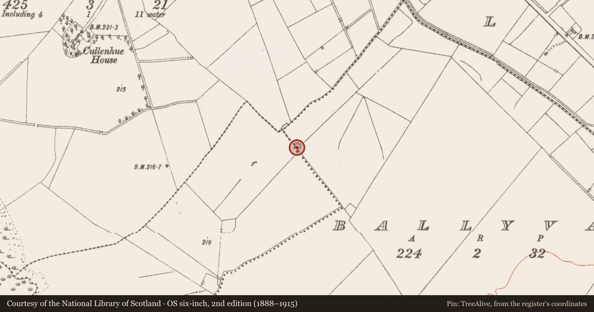 Ordnance Survey six-inch map, 2nd edition (1888–1915) covering the location of Ringfort - unclassified, Ballyvade, County Westmeath, with a pin at the register's coordinates