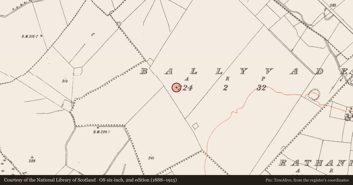 Ordnance Survey six-inch map, 2nd edition (1888–1915) covering the location of Ringfort - unclassified, Ballyvade, County Westmeath, with a pin at the register's coordinates