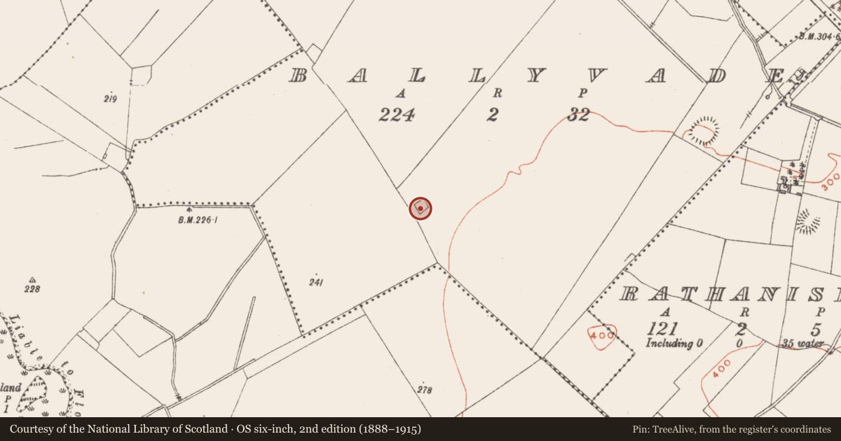 Ordnance Survey six-inch map, 2nd edition (1888–1915) covering the location of Moated site, Ballyvade, County Westmeath, with a pin at the register's coordinates