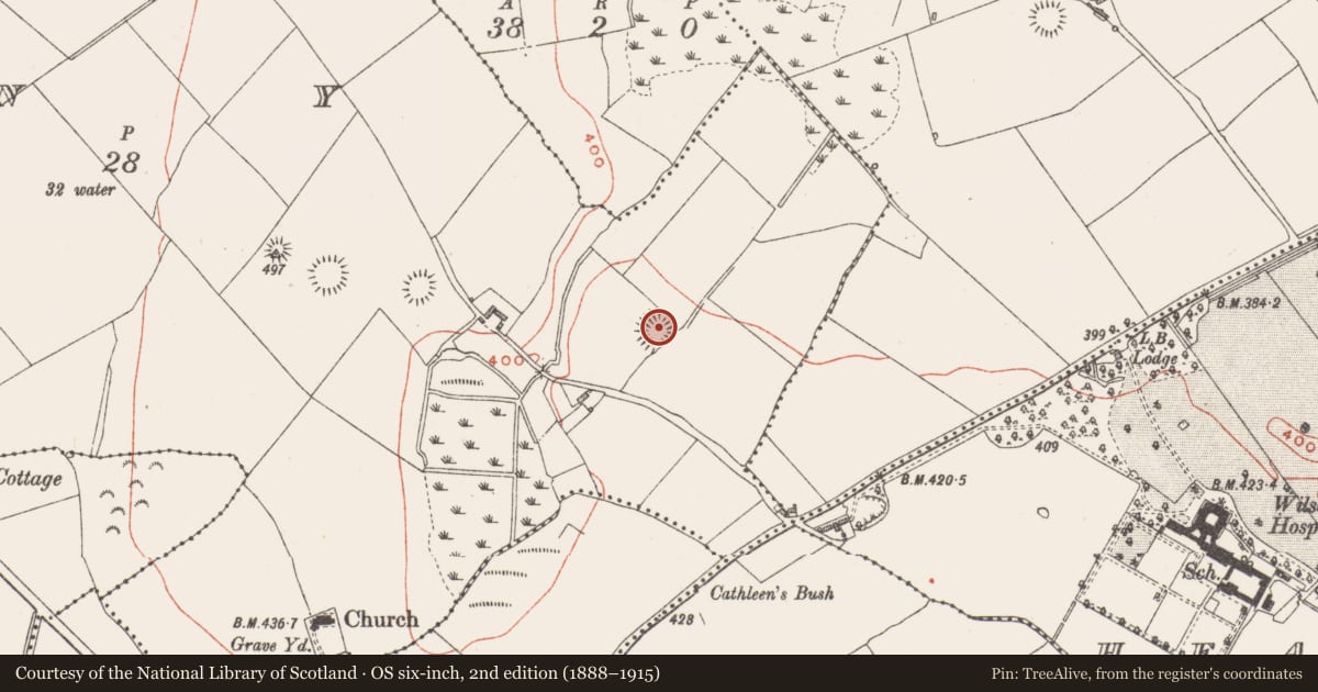 Ordnance Survey six-inch map, 2nd edition (1888–1915) covering the location of Ringfort - rath, Leny, County Westmeath, with a pin at the register's coordinates