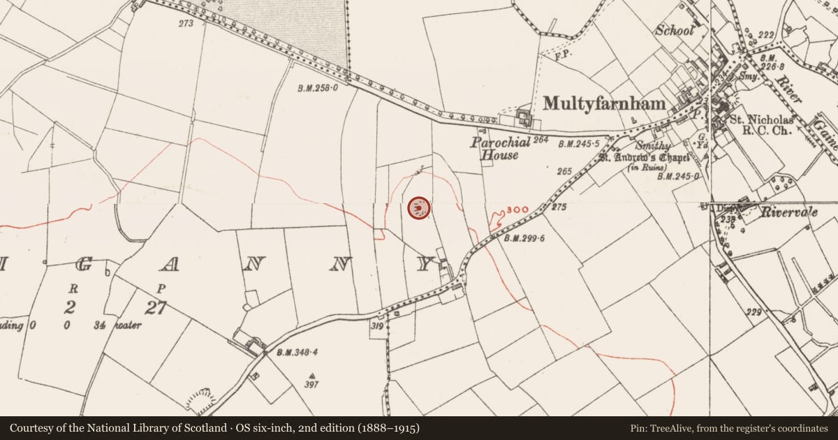 Ordnance Survey six-inch map, 2nd edition (1888–1915) covering the location of Ringfort - rath, Rathganny, County Westmeath, with a pin at the register's coordinates