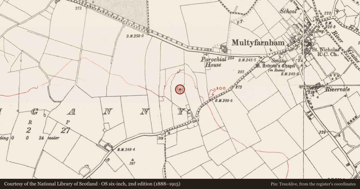 Ordnance Survey six-inch map, 2nd edition (1888–1915) covering the location of Hut site, Rathganny, County Westmeath, with a pin at the register's coordinates