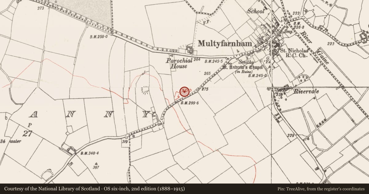 Ordnance Survey six-inch map, 2nd edition (1888–1915) covering the location of Castle - unclassified, Rathganny, County Westmeath, with a pin at the register's coordinates
