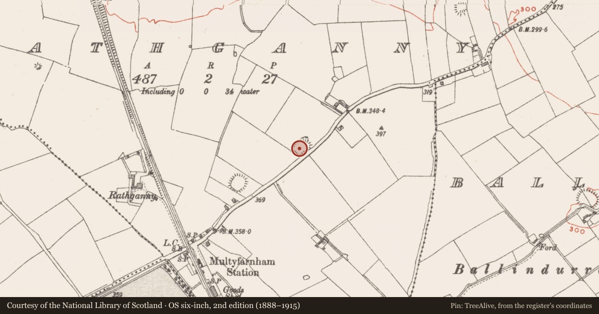 Ordnance Survey six-inch map, 2nd edition (1888–1915) covering the location of Ringfort - rath, Rathganny, County Westmeath, with a pin at the register's coordinates