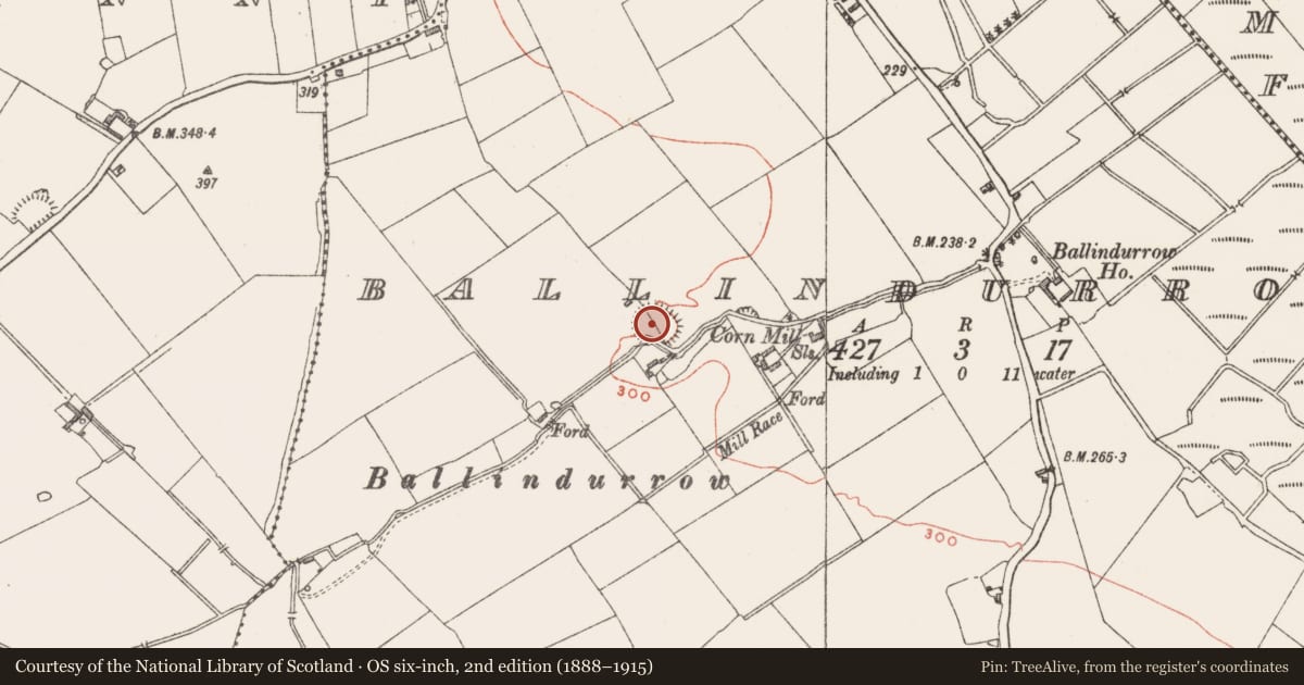 Ordnance Survey six-inch map, 2nd edition (1888–1915) covering the location of Ringfort - rath, Ballindurrow, County Westmeath, with a pin at the register's coordinates