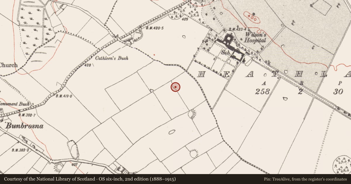 Ordnance Survey six-inch map, 2nd edition (1888–1915) covering the location of Ringfort - rath, Kilpatrick, County Westmeath, with a pin at the register's coordinates