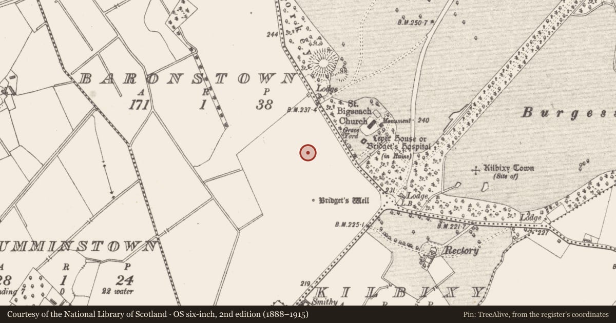 Ordnance Survey six-inch map, 2nd edition (1888–1915) covering the location of Settlement deserted - medieval, Baronstown, County Westmeath, with a pin at the register's coordinates