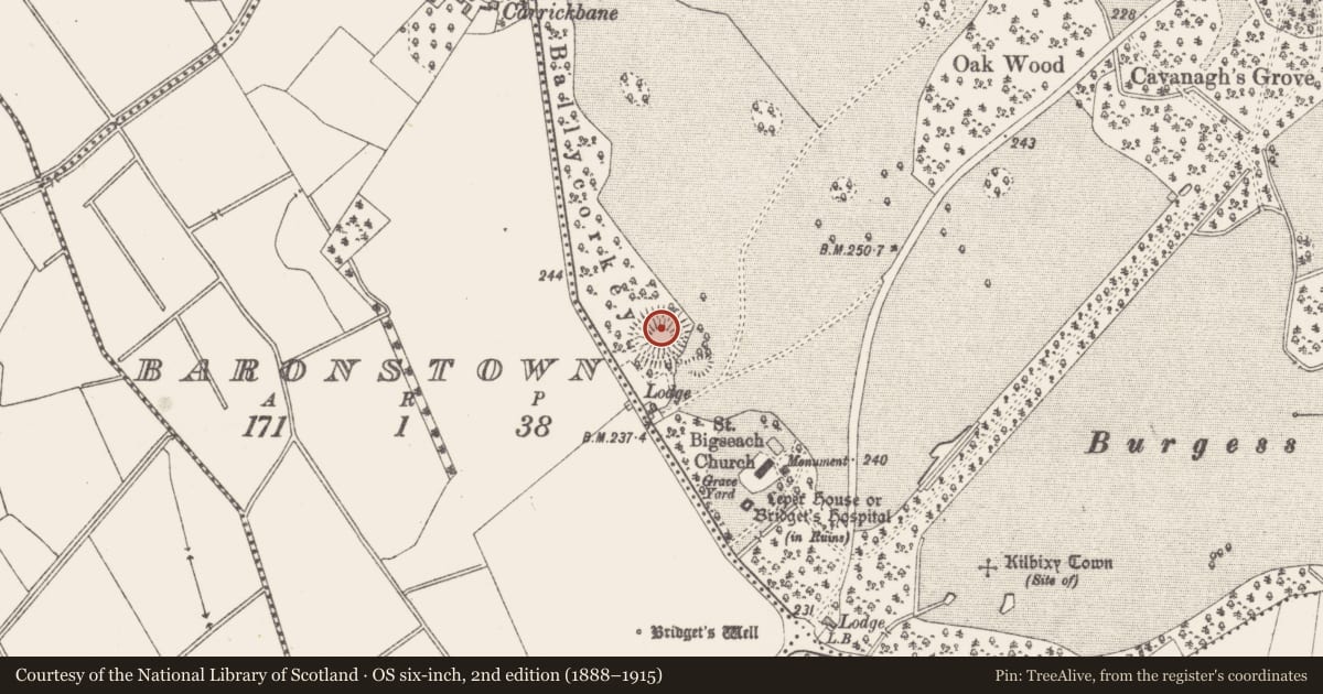 Ordnance Survey six-inch map, 2nd edition (1888–1915) covering the location of Castle - motte and bailey, Baronstown Demesne, County Westmeath, with a pin at the register's coordinates