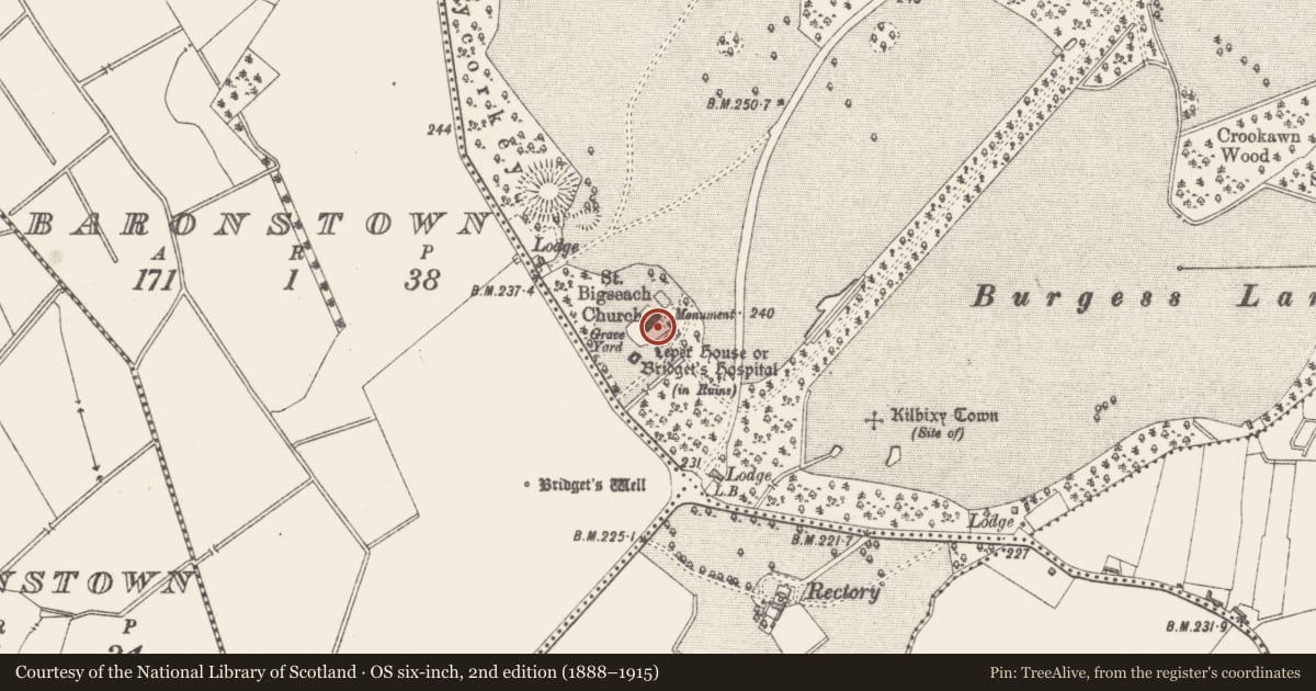 Ordnance Survey six-inch map, 2nd edition (1888–1915) covering the location of Ecclesiastical enclosure, Baronstown Demesne, County Westmeath, with a pin at the register's coordinates