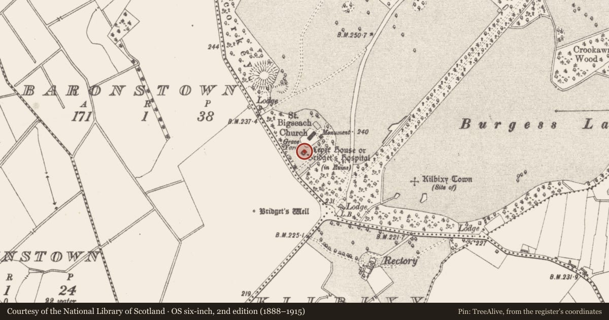 Ordnance Survey six-inch map, 2nd edition (1888–1915) covering the location of Leper hospital, Baronstown Demesne, County Westmeath, with a pin at the register's coordinates