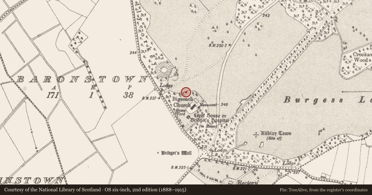 Ordnance Survey six-inch map, 2nd edition (1888–1915) covering the location of Souterrain, Baronstown Demesne, County Westmeath, with a pin at the register's coordinates
