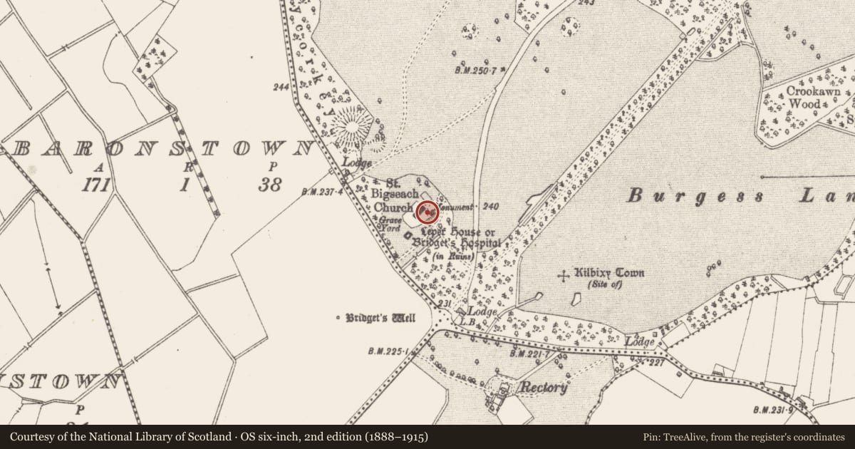 Ordnance Survey six-inch map, 2nd edition (1888–1915) covering the location of Font, Baronstown Demesne, County Westmeath, with a pin at the register's coordinates
