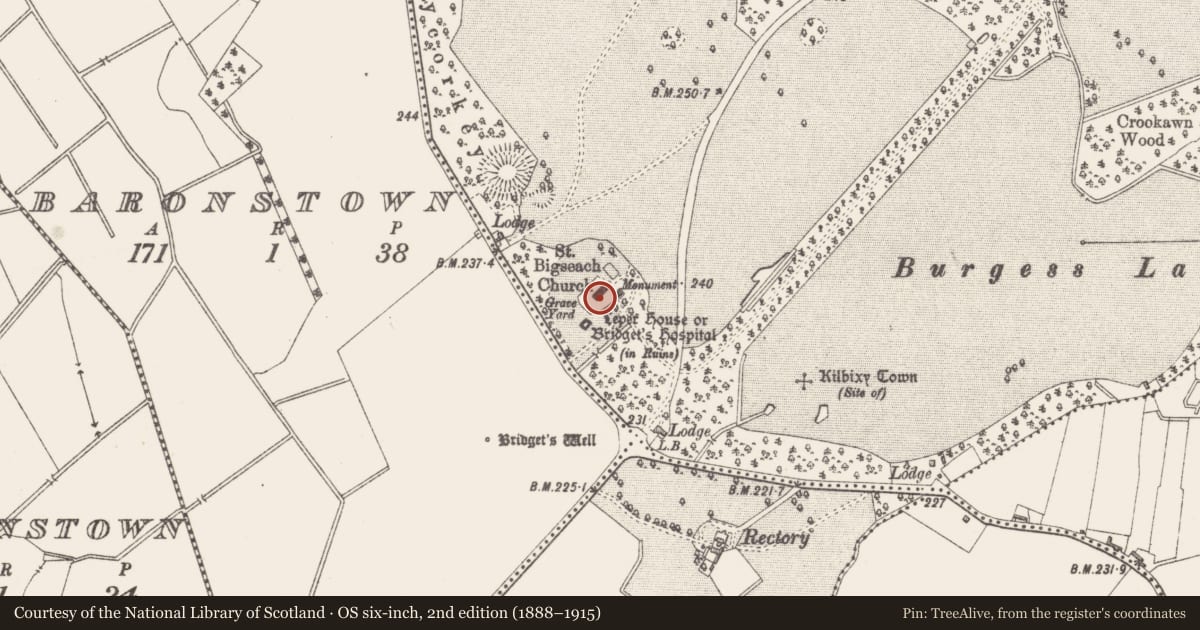 Ordnance Survey six-inch map, 2nd edition (1888–1915) covering the location of Cross-slab (present location), Baronstown Demesne, County Westmeath, with a pin at the register's coordinates