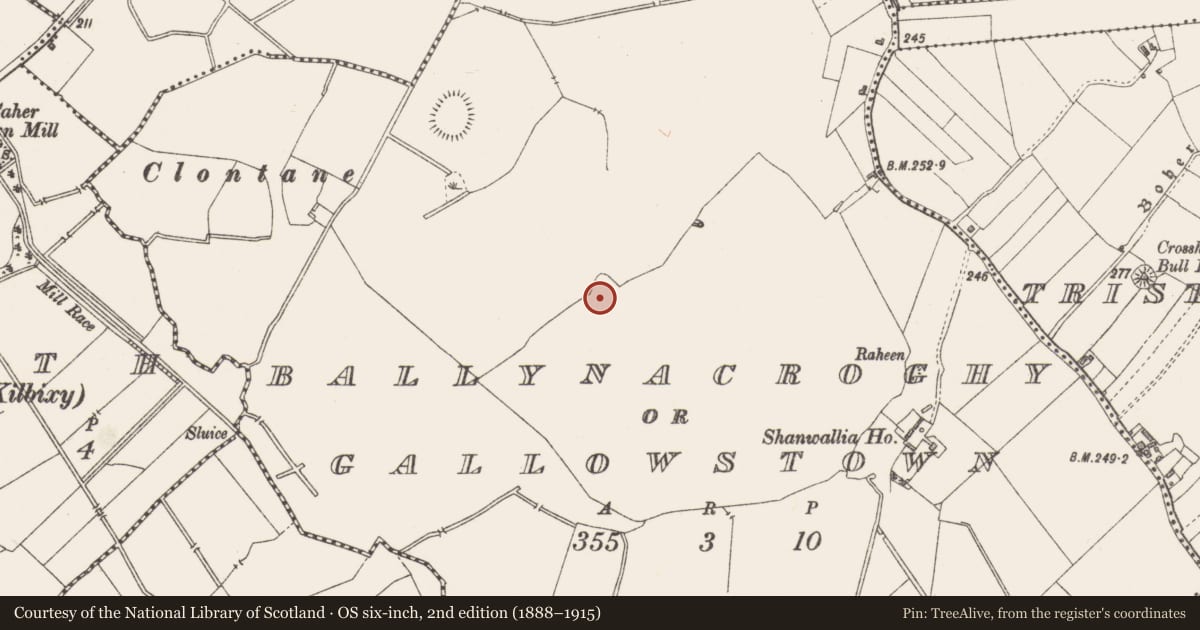 Ordnance Survey six-inch map, 2nd edition (1888–1915) covering the location of Ringfort - rath, Ballynacroghy Or Gallowstown, County Westmeath, with a pin at the register's coordinates