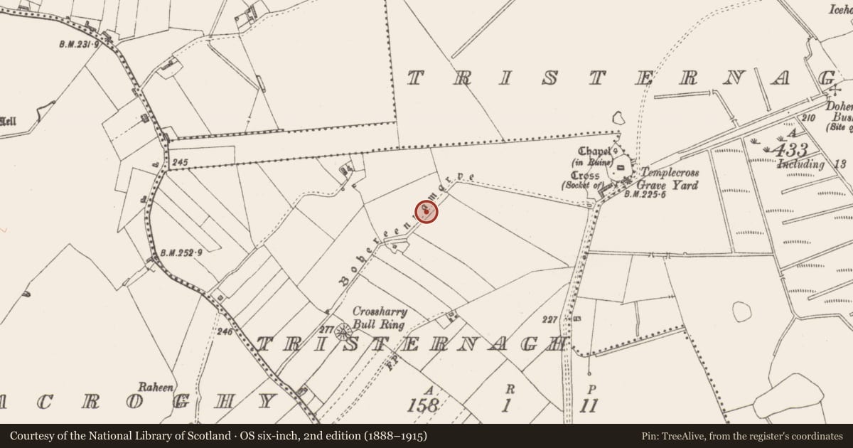Ordnance Survey six-inch map, 2nd edition (1888–1915) covering the location of Road - road/trackway, Tristernagh, County Westmeath, with a pin at the register's coordinates