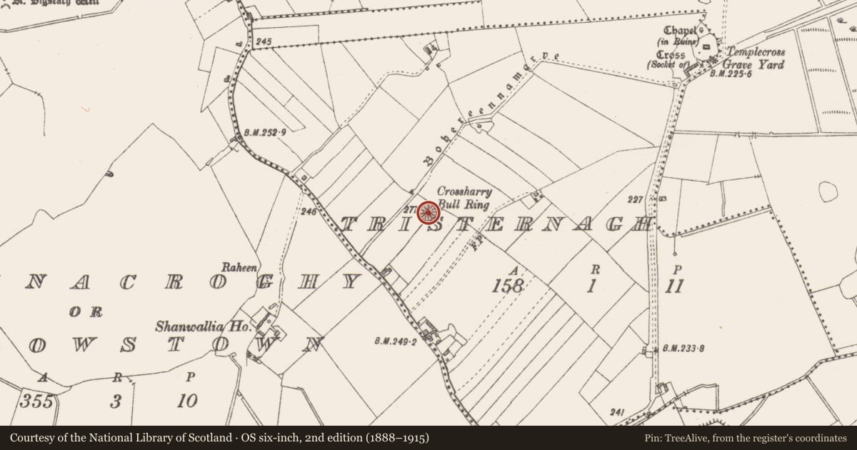 Ordnance Survey six-inch map, 2nd edition (1888–1915) covering the location of Barrow - stepped barrow, Tristernagh, County Westmeath, with a pin at the register's coordinates