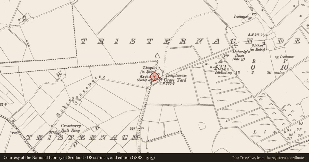 Ordnance Survey six-inch map, 2nd edition (1888–1915) covering the location of Cross, Tristernagh, County Westmeath, with a pin at the register's coordinates