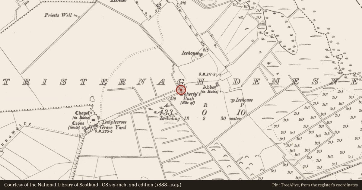 Ordnance Survey six-inch map, 2nd edition (1888–1915) covering the location of Bridge, Tristernagh Demesne, County Westmeath, with a pin at the register's coordinates
