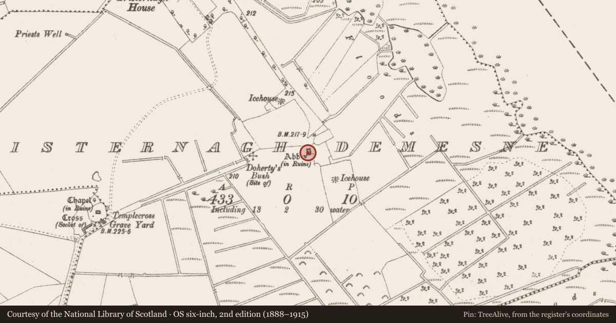 Ordnance Survey six-inch map, 2nd edition (1888–1915) covering the location of Graveyard, Tristernagh Demesne, County Westmeath, with a pin at the register's coordinates