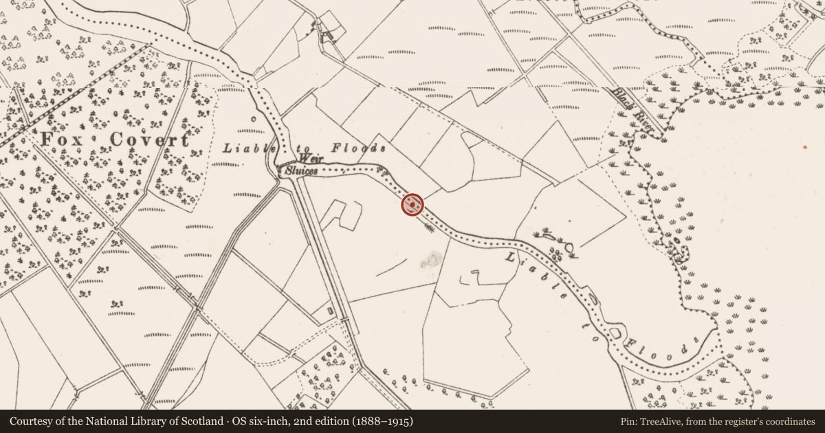 Ordnance Survey six-inch map, 2nd edition (1888–1915) covering the location of Weir - fish, Baronstown Demesne, Corry, County Westmeath, with a pin at the register's coordinates