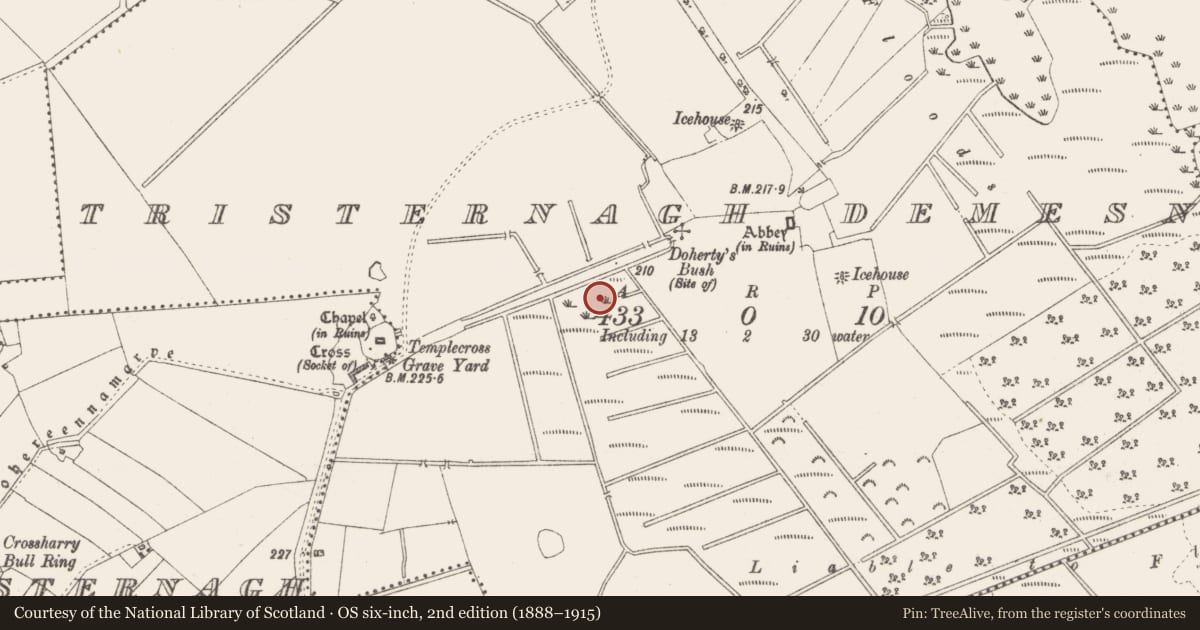 Ordnance Survey six-inch map, 2nd edition (1888–1915) covering the location of Fish-pond, Tristernagh Demesne, County Westmeath, with a pin at the register's coordinates